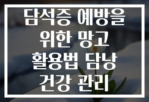 담석증 예방을 위한 망고 활용법 담낭 건강 관리