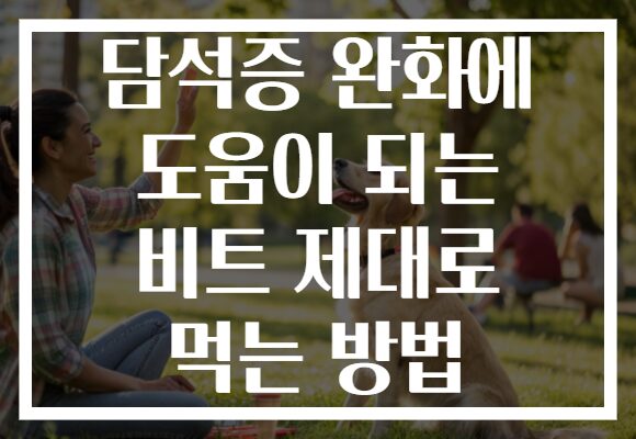 담석증 완화에 도움이 되는 비트 제대로 먹는 방법