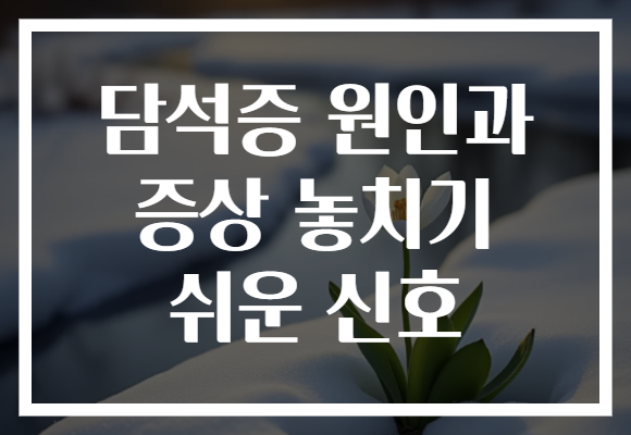 담석증 원인과 증상 놓치기 쉬운 신호
