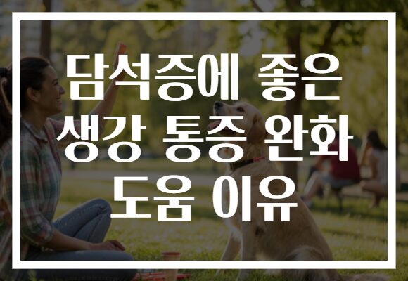 담석증에 좋은 생강 통증 완화 도움 이유