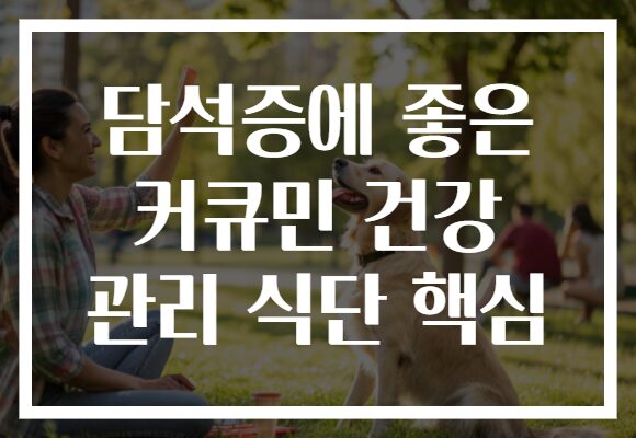 담석증에 좋은 커큐민 건강 관리 식단 핵심