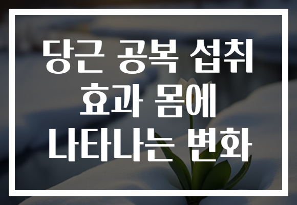 당근 공복 섭취 효과 몸에 나타나는 변화