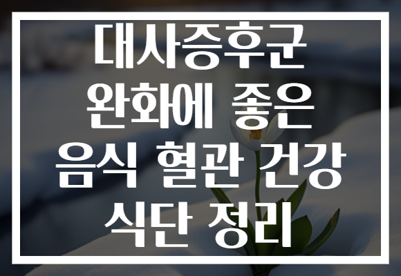 대사증후군 완화에 좋은 음식 혈관 건강 식단 정리