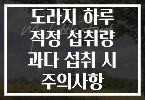 도라지 하루 적정 섭취량 과다 섭취 시 주의사항