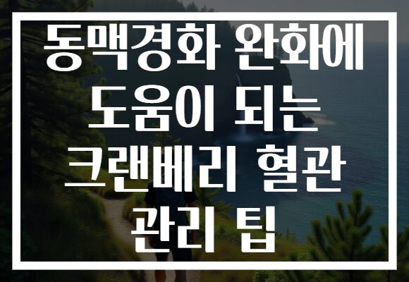 동맥경화 완화에 도움이 되는 크랜베리 혈관 관리 팁