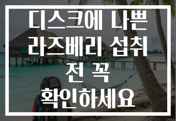 디스크에 나쁜 라즈베리 섭취 전 꼭 확인하세요