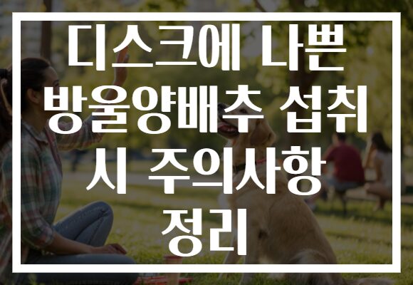 디스크에 나쁜 방울양배추 섭취 시 주의사항 정리