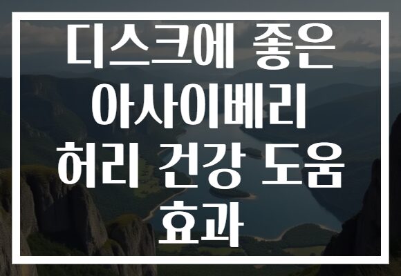 디스크에 좋은 아사이베리 허리 건강 도움 효과