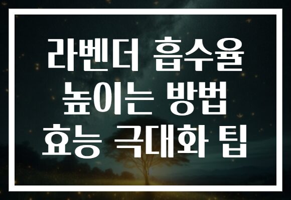라벤더 흡수율 높이는 방법 효능 극대화 팁