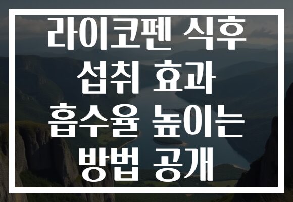 라이코펜 식후 섭취 효과 흡수율 높이는 방법 공개