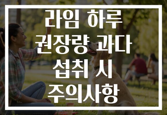 라임 하루 권장량 과다 섭취 시 주의사항
