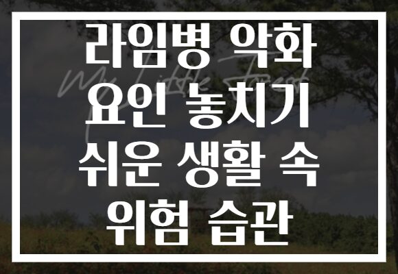 라임병 악화 요인 놓치기 쉬운 생활 속 위험 습관