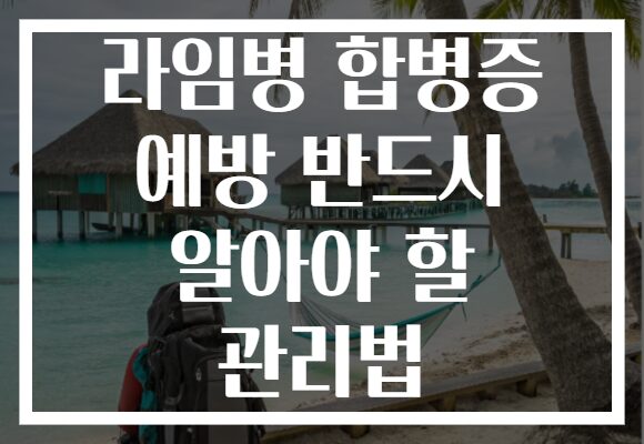 라임병 합병증 예방 반드시 알아야 할 관리법