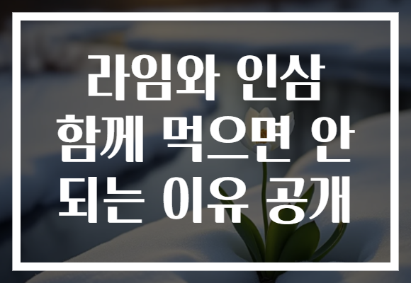 라임와 인삼 함께 먹으면 안 되는 이유 공개