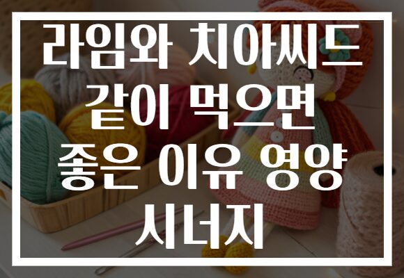 라임와 치아씨드 같이 먹으면 좋은 이유 영양 시너지
