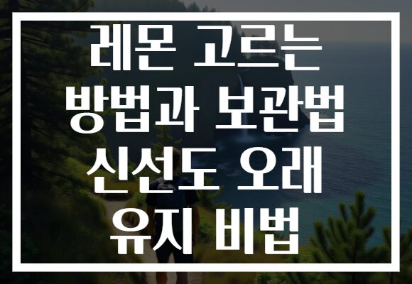 레몬 고르는 방법과 보관법 신선도 오래 유지 비법