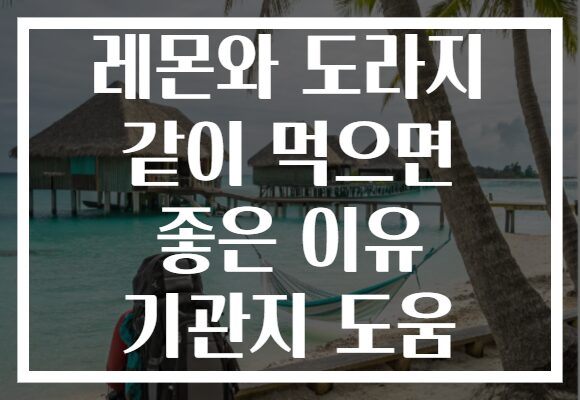 레몬와 도라지 같이 먹으면 좋은 이유 기관지 도움