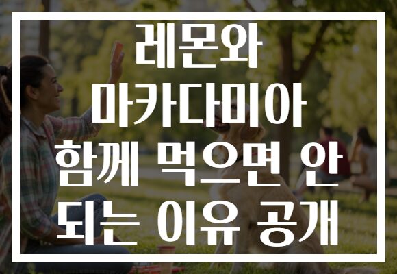 레몬와 마카다미아 함께 먹으면 안 되는 이유 공개