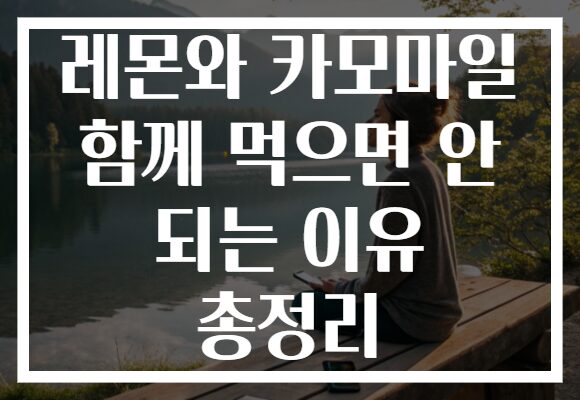 레몬와 카모마일 함께 먹으면 안 되는 이유 총정리