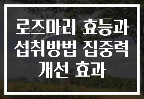 로즈마리 효능과 섭취방법 집중력 개선 효과