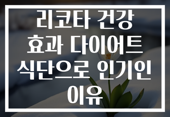 리코타 건강 효과 다이어트 식단으로 인기인 이유