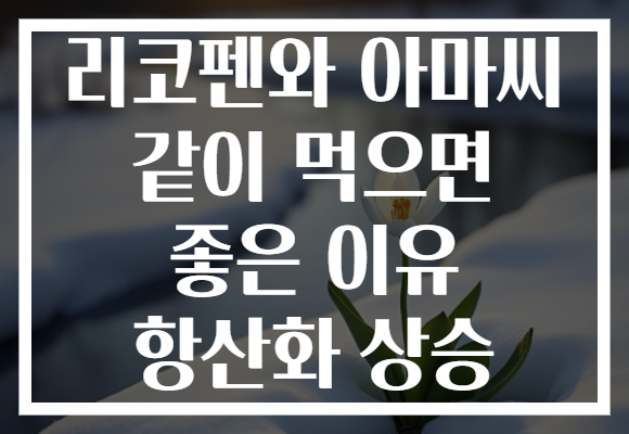 리코펜와 아마씨 같이 먹으면 좋은 이유 항산화 상승