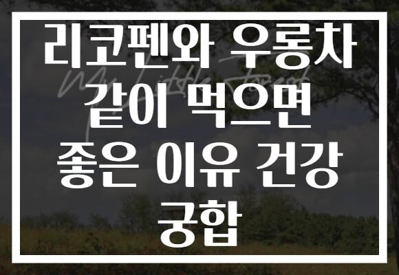 리코펜와 우롱차 같이 먹으면 좋은 이유 건강 궁합