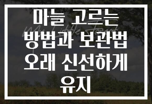 마늘 고르는 방법과 보관법 오래 신선하게 유지