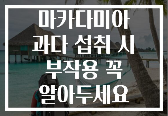 마카다미아 과다 섭취 시 부작용 꼭 알아두세요