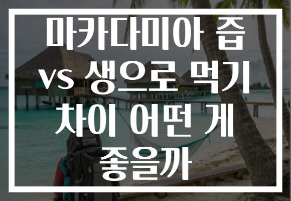 마카다미아 즙 vs 생으로 먹기 차이 어떤 게 좋을까