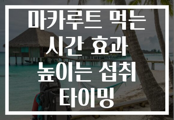 마카루트 먹는 시간 효과 높이는 섭취 타이밍