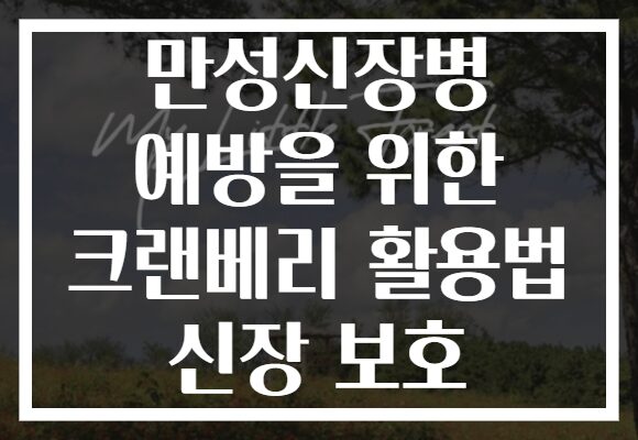 만성신장병 예방을 위한 크랜베리 활용법 신장 보호