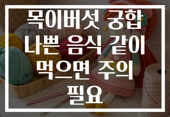 목이버섯 궁합 나쁜 음식 같이 먹으면 주의 필요