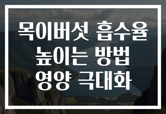 목이버섯 흡수율 높이는 방법 영양 극대화