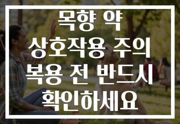 목향 약 상호작용 주의 복용 전 반드시 확인하세요