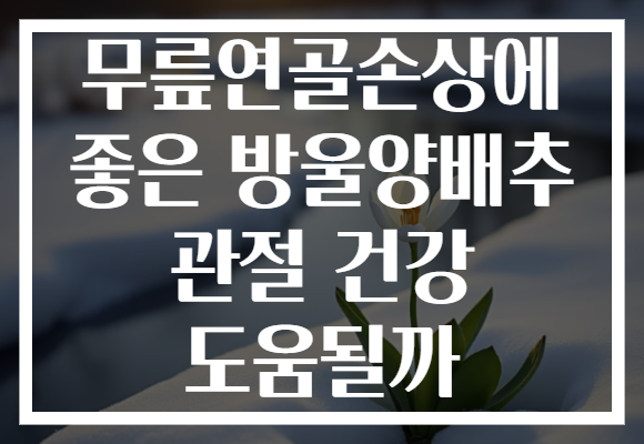 무릎연골손상에 좋은 방울양배추 관절 건강 도움될까