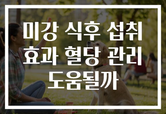 미강 식후 섭취 효과 혈당 관리 도움될까