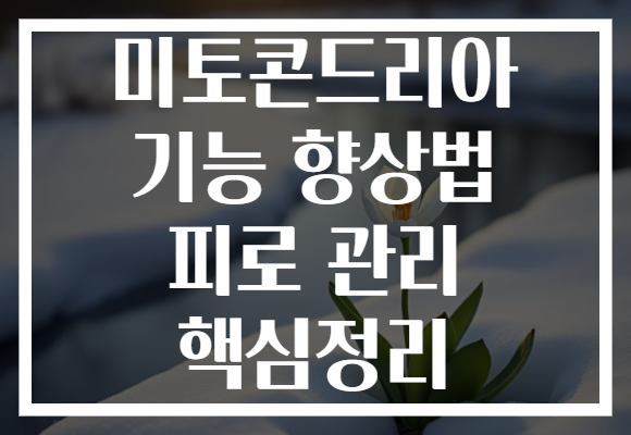 미토콘드리아 기능 향상법 피로 관리 핵심정리