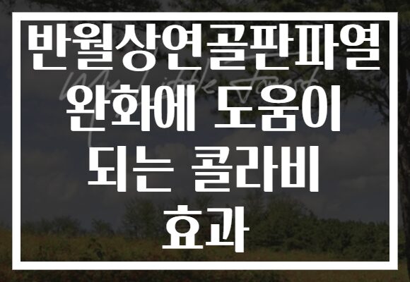 반월상연골판파열 완화에 도움이 되는 콜라비 효과