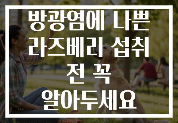 방광염에 나쁜 라즈베리 섭취 전 꼭 알아두세요