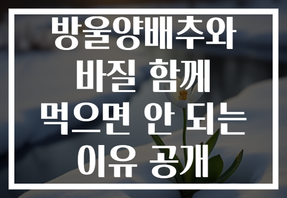 방울양배추와 바질 함께 먹으면 안 되는 이유 공개