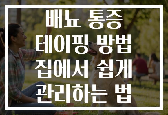 배뇨 통증 테이핑 방법 집에서 쉽게 관리하는 법
