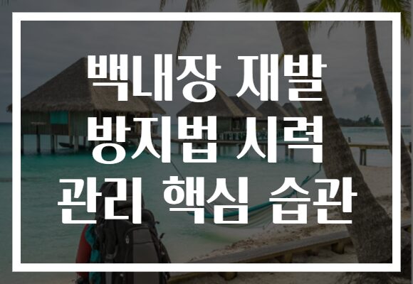 백내장 재발 방지법 시력 관리 핵심 습관