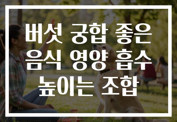버섯 궁합 좋은 음식 영양 흡수 높이는 조합