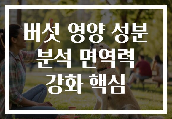 버섯 영양 성분 분석 면역력 강화 핵심