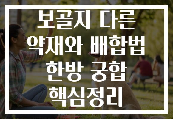 보골지 다른 약재와 배합법 한방 궁합 핵심정리