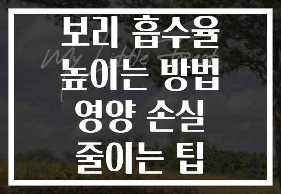 보리 흡수율 높이는 방법 영양 손실 줄이는 팁