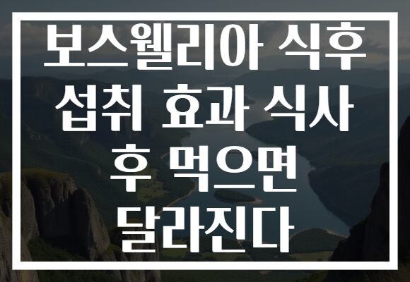 보스웰리아 식후 섭취 효과 식사 후 먹으면 달라진다