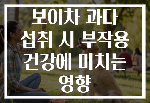 보이차 과다 섭취 시 부작용 건강에 미치는 영향