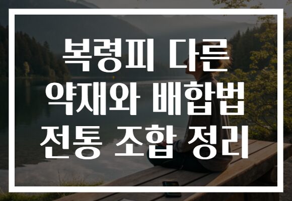 복령피 다른 약재와 배합법 전통 조합 정리